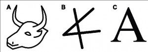 a-egyptian-hieroglyph-representing-a-bull-head-b-phoenician.jpg