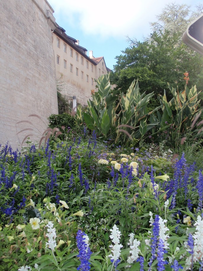 montbeliard_chateau