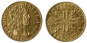 louis_xiii_gold.jpg