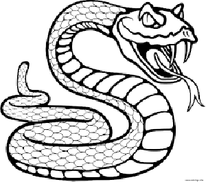 serpent.png