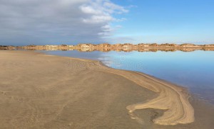 view-piemanson-beach-salins-de-giraud-camargue-provence-france-piemanson-beach-salins-de-giraud-camargue-france-109817534.jpg